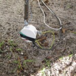 Feeder connecting our beverage